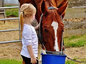 large animal vet doctor